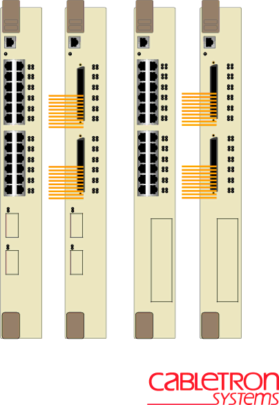 LexmarkC524n