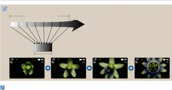 Example of Time Lapse Recording