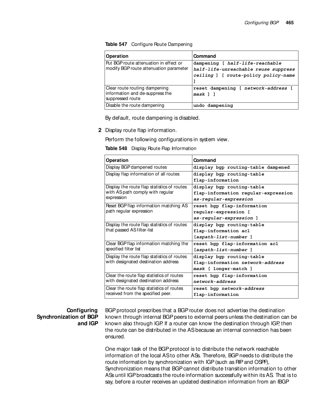 3Com 10014299 manual Display Route Flap Information 