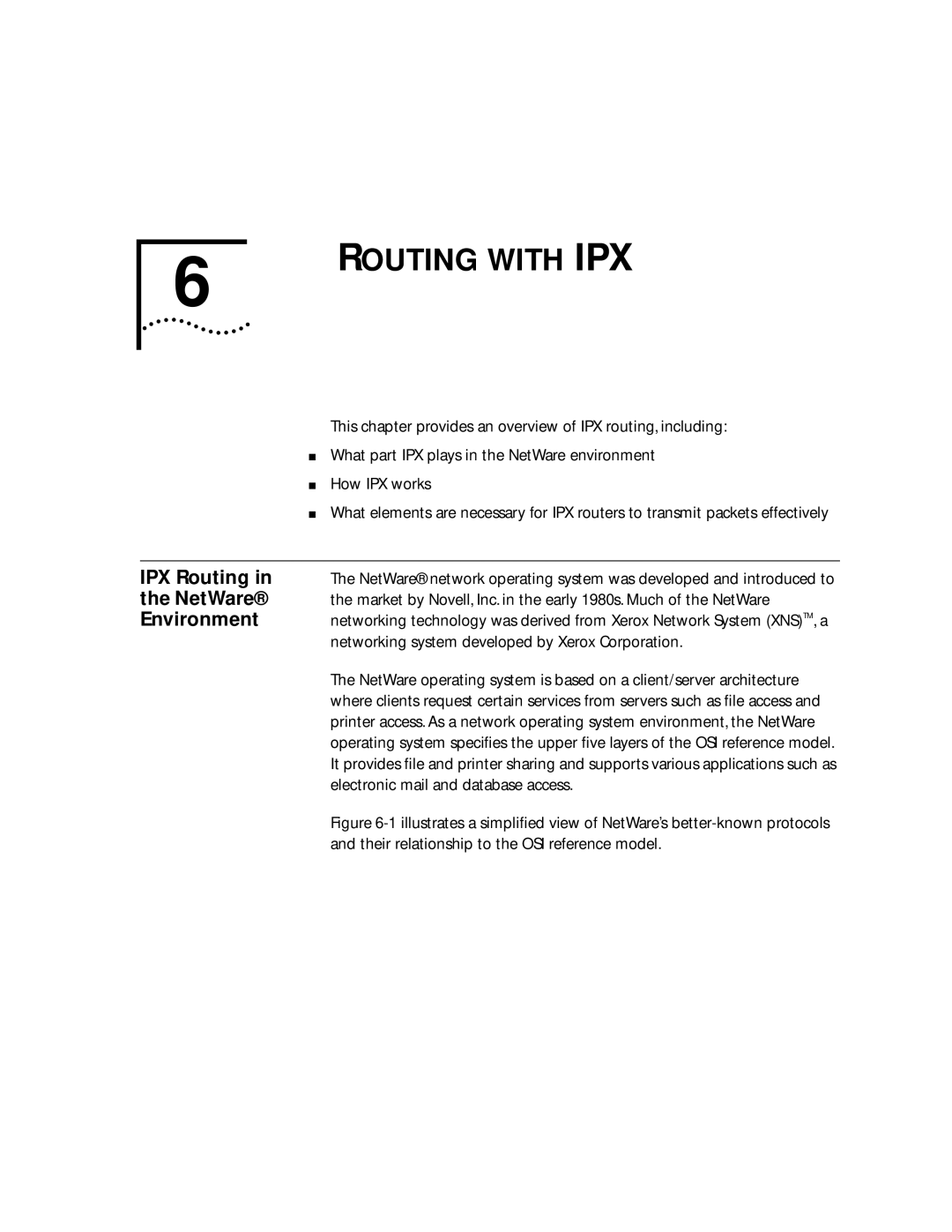 3Com 2500 manual IPX Routing, NetWare, Environment 