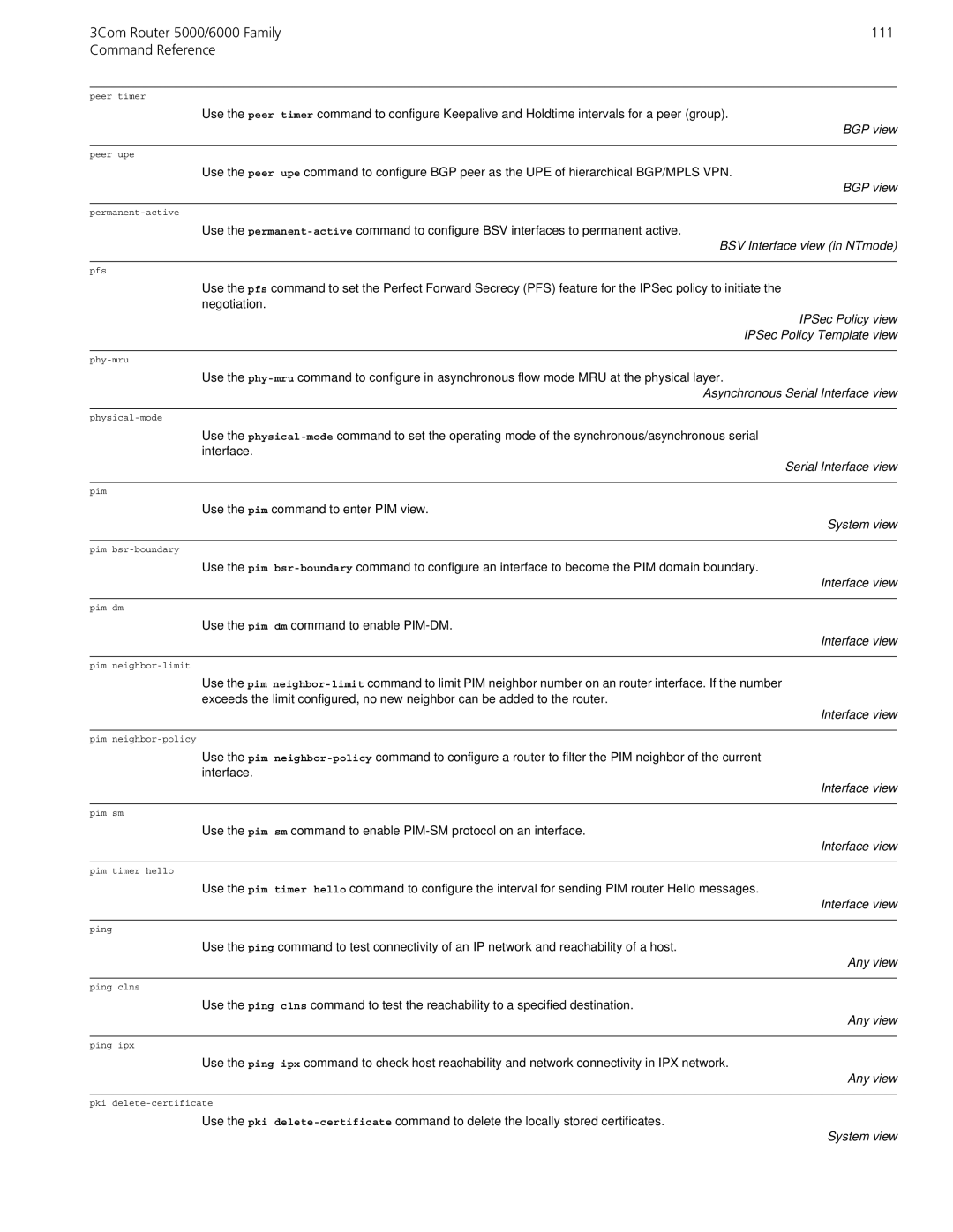 3Com manual 3Com Router 5000/6000 Family 111 Command Reference, BSV Interface view in NTmode 