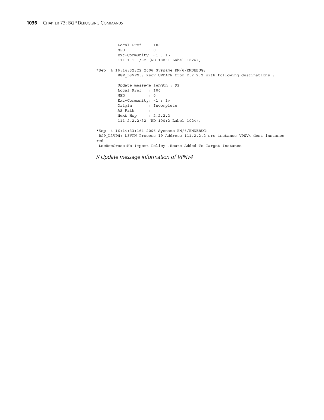 3Com MSR 30, MSR 50 manual Update message information of VPNv4 