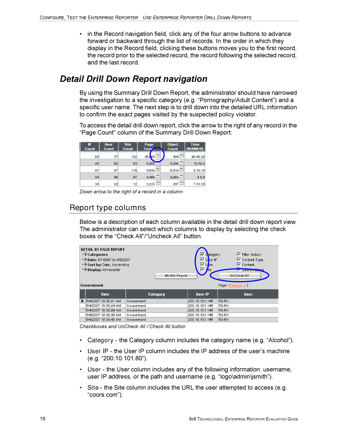 8e6 Technologies ER HL/SL manual Detail Drill Down Report navigation, Report type columns 