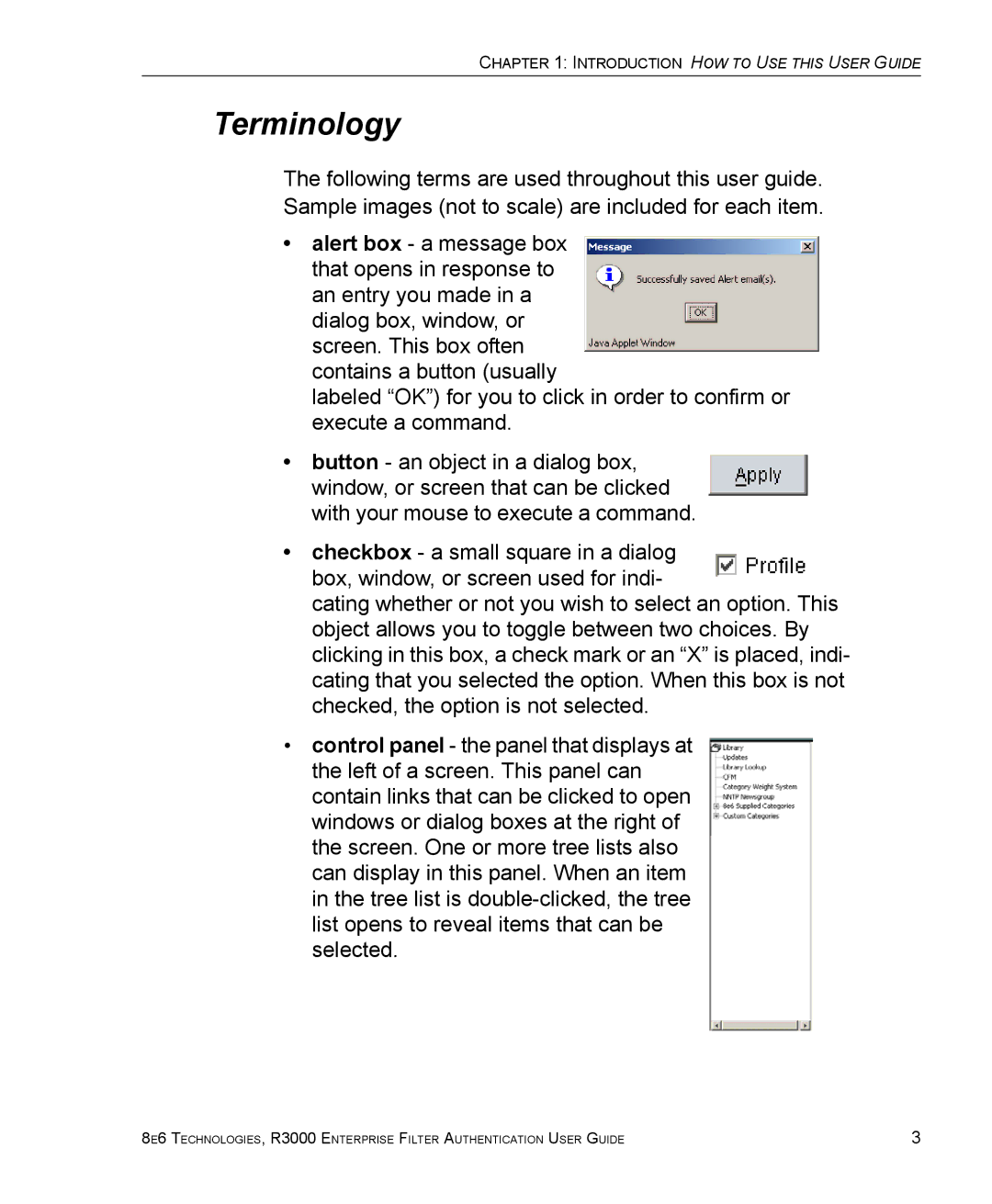 8e6 Technologies R3000 manual Terminology 