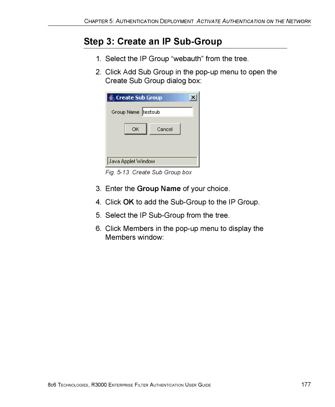 8e6 Technologies R3000 manual Create an IP Sub-Group, Create Sub Group box 