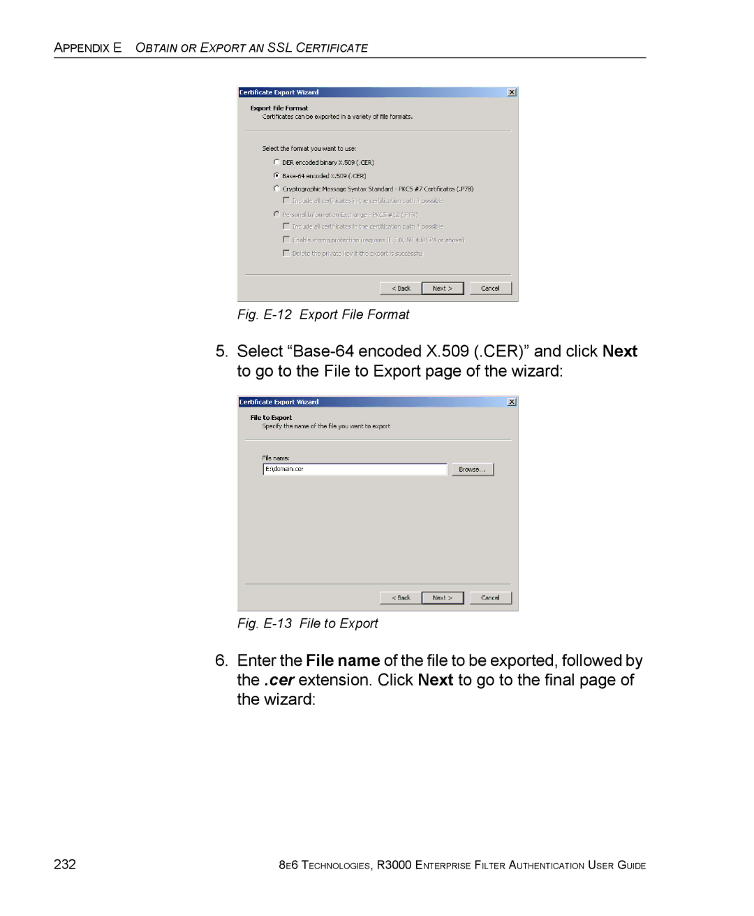 8e6 Technologies R3000 manual Fig. E-12 Export File Format, 232 