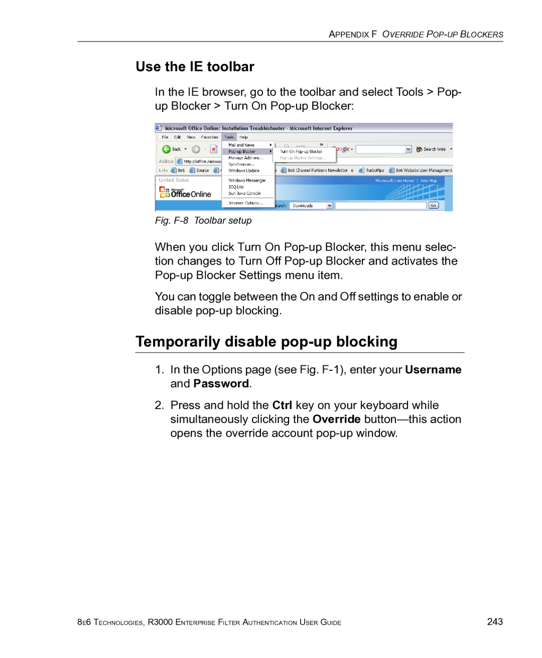 8e6 Technologies R3000 manual Use the IE toolbar, Fig. F-8 Toolbar setup 