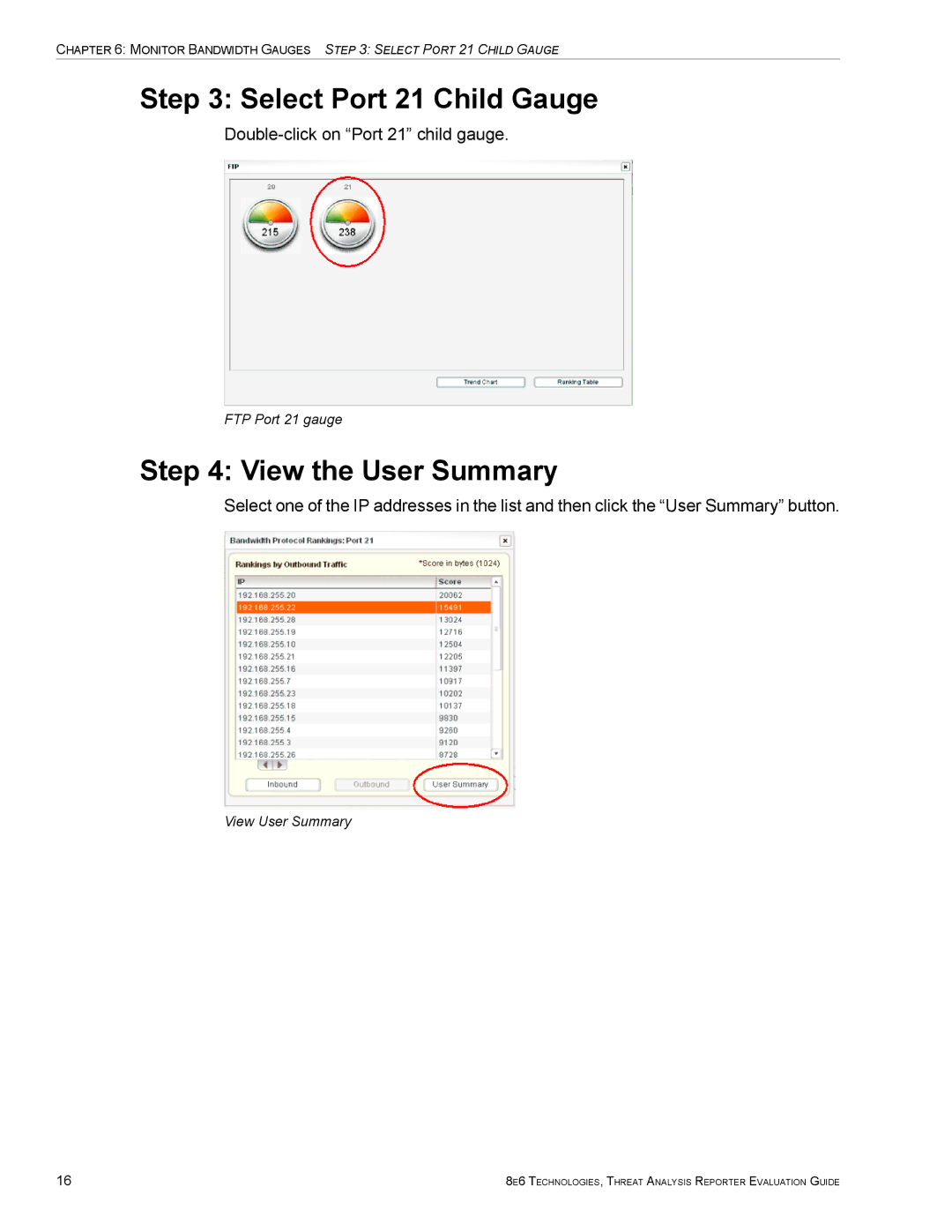 8e6 Technologies TAR HL/SL/MSA Select Port 21 Child Gauge, View the User Summary, FTP Port 21 gauge, View User Summary 