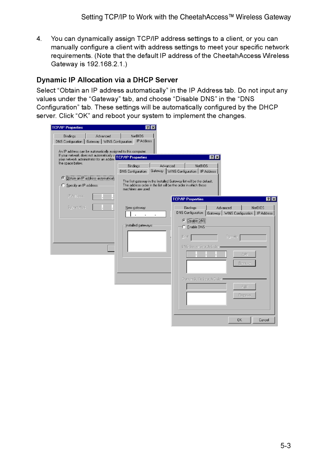 Accton Technology AC-IG2004W manual Dynamic IP Allocation via a Dhcp Server 