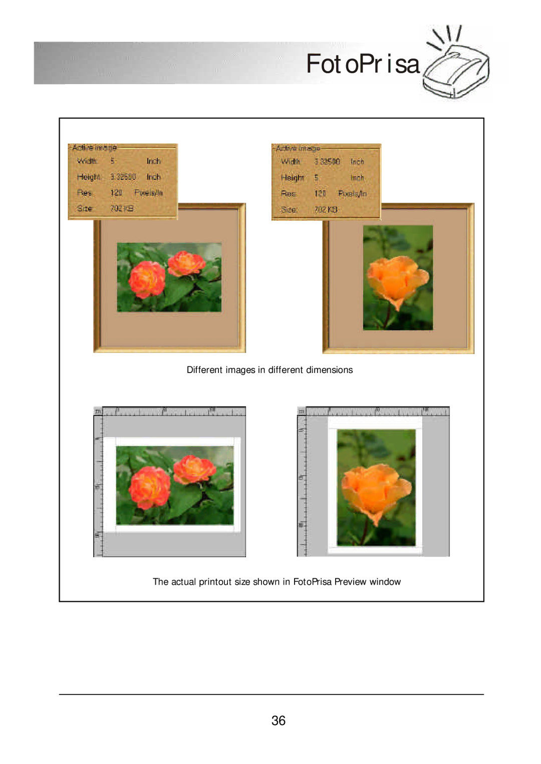 Acer 300P user manual FotoPrisa 