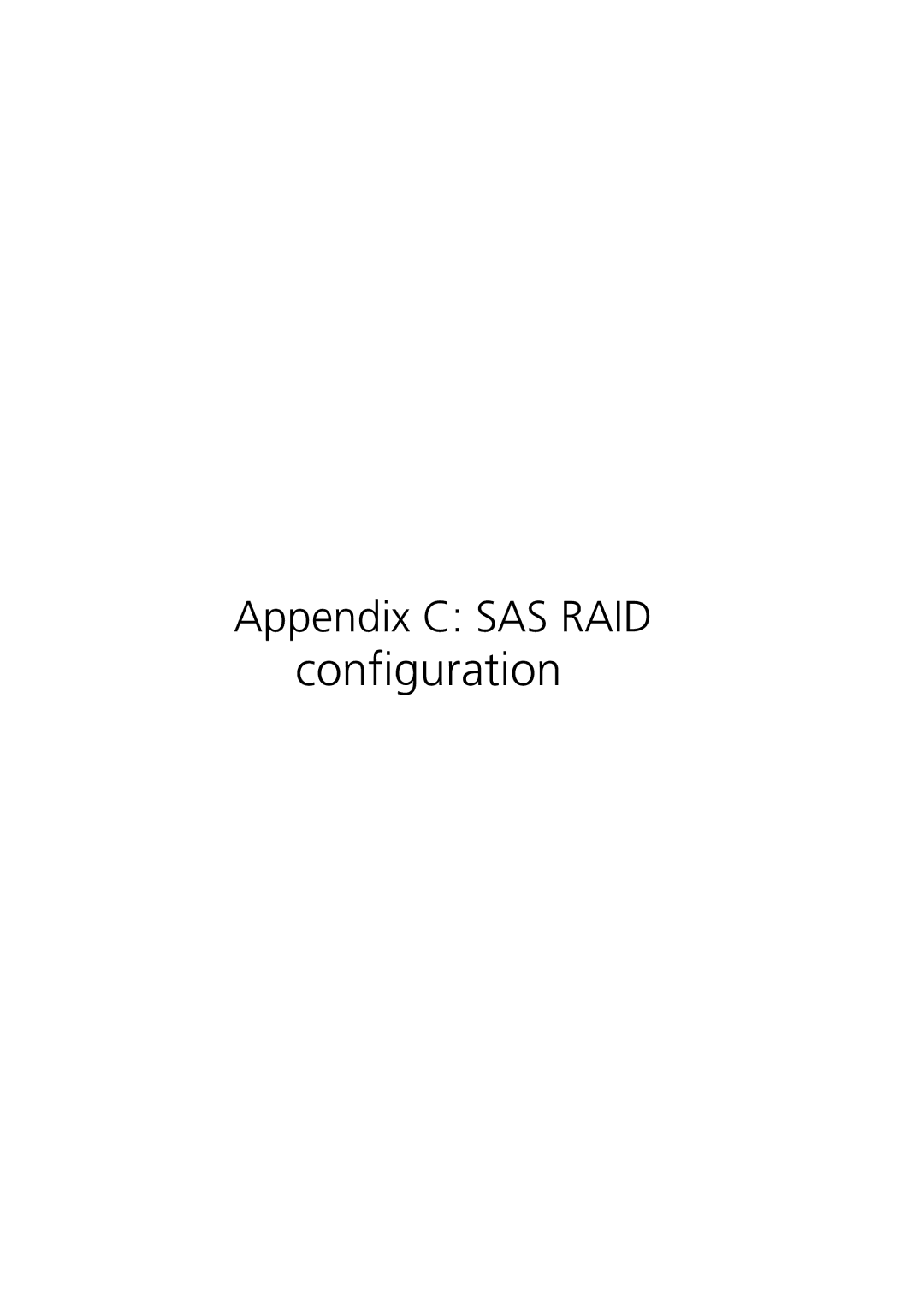 Acer G330 Series manual Appendix C SAS RAID 