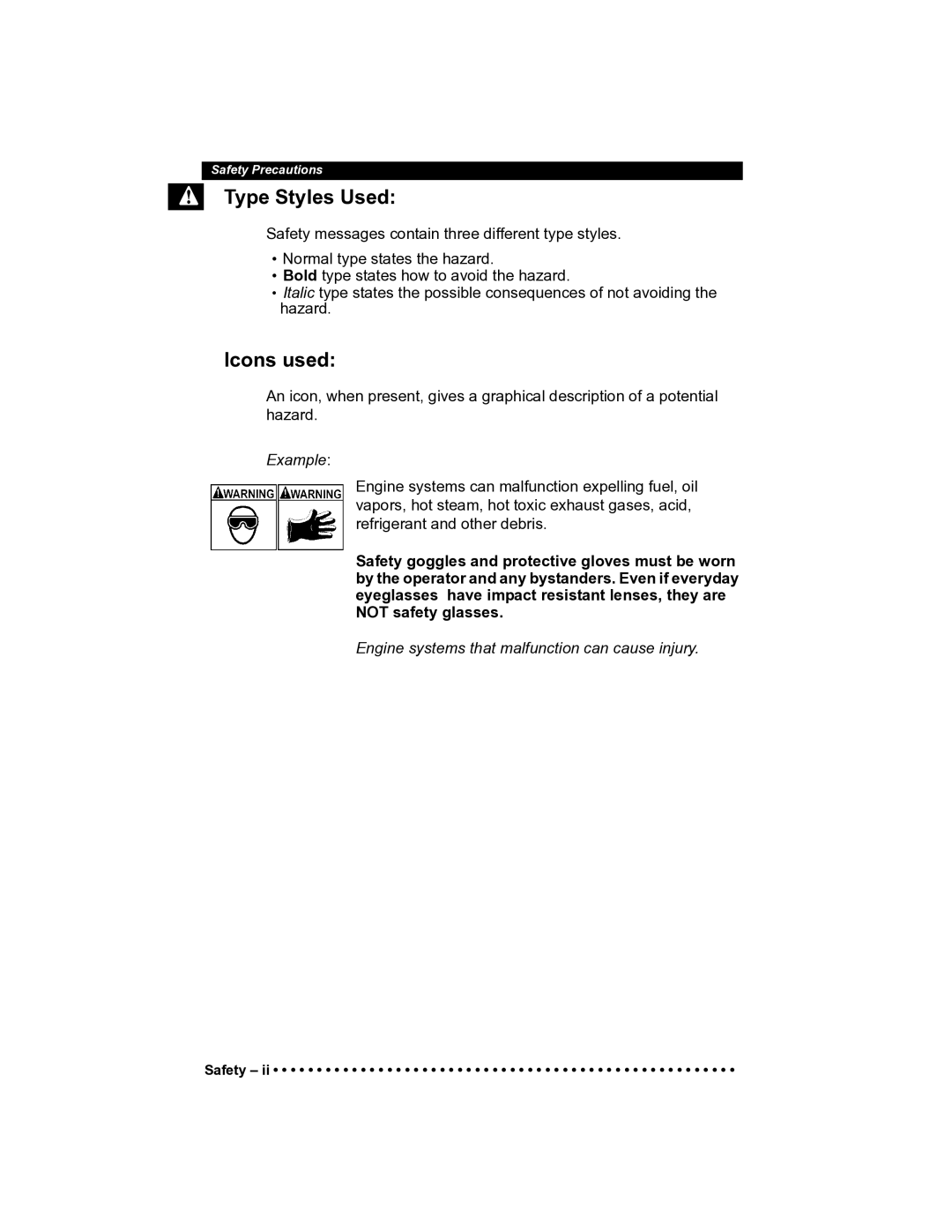 Actron CP9185 manual Type Styles Used, Icons used 