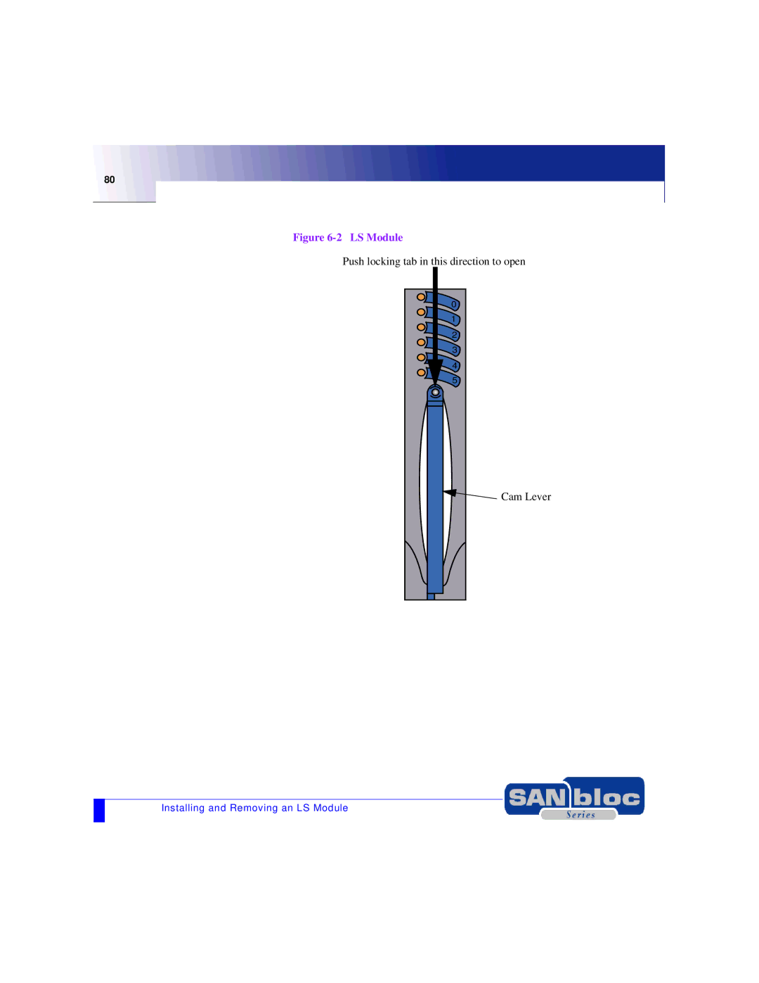 Adaptec MAN-FC2002-001 manual LS Module 