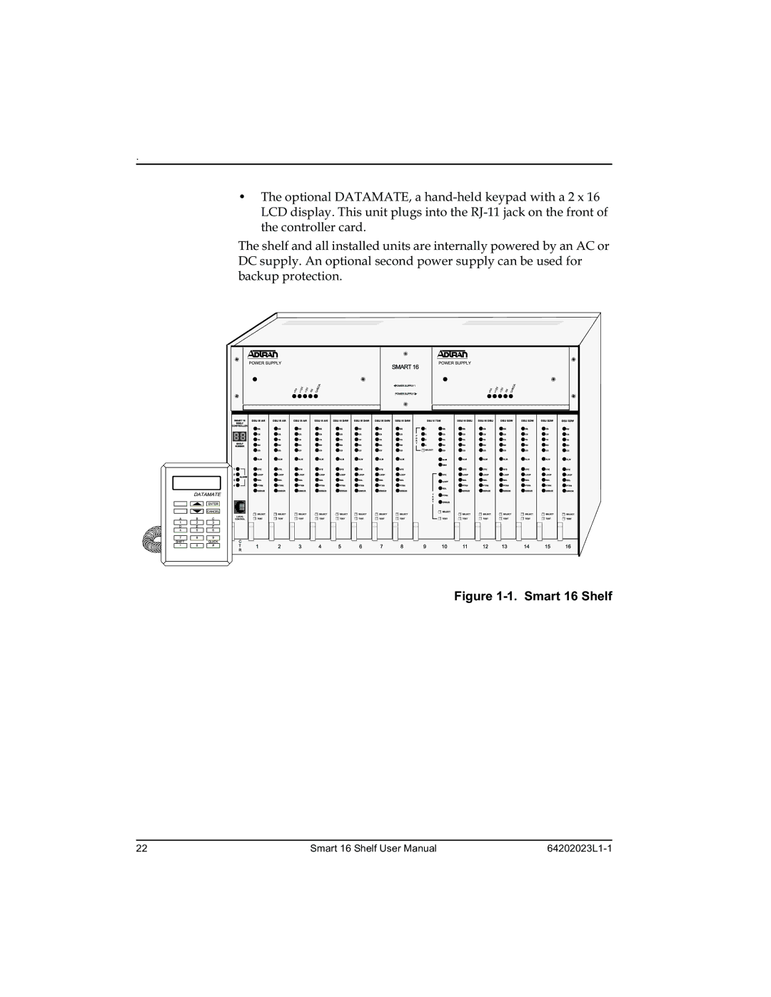 ADTRAN 4202023L2, 4202023L1, 4202023L4, 4202023L3 manual 493-# 