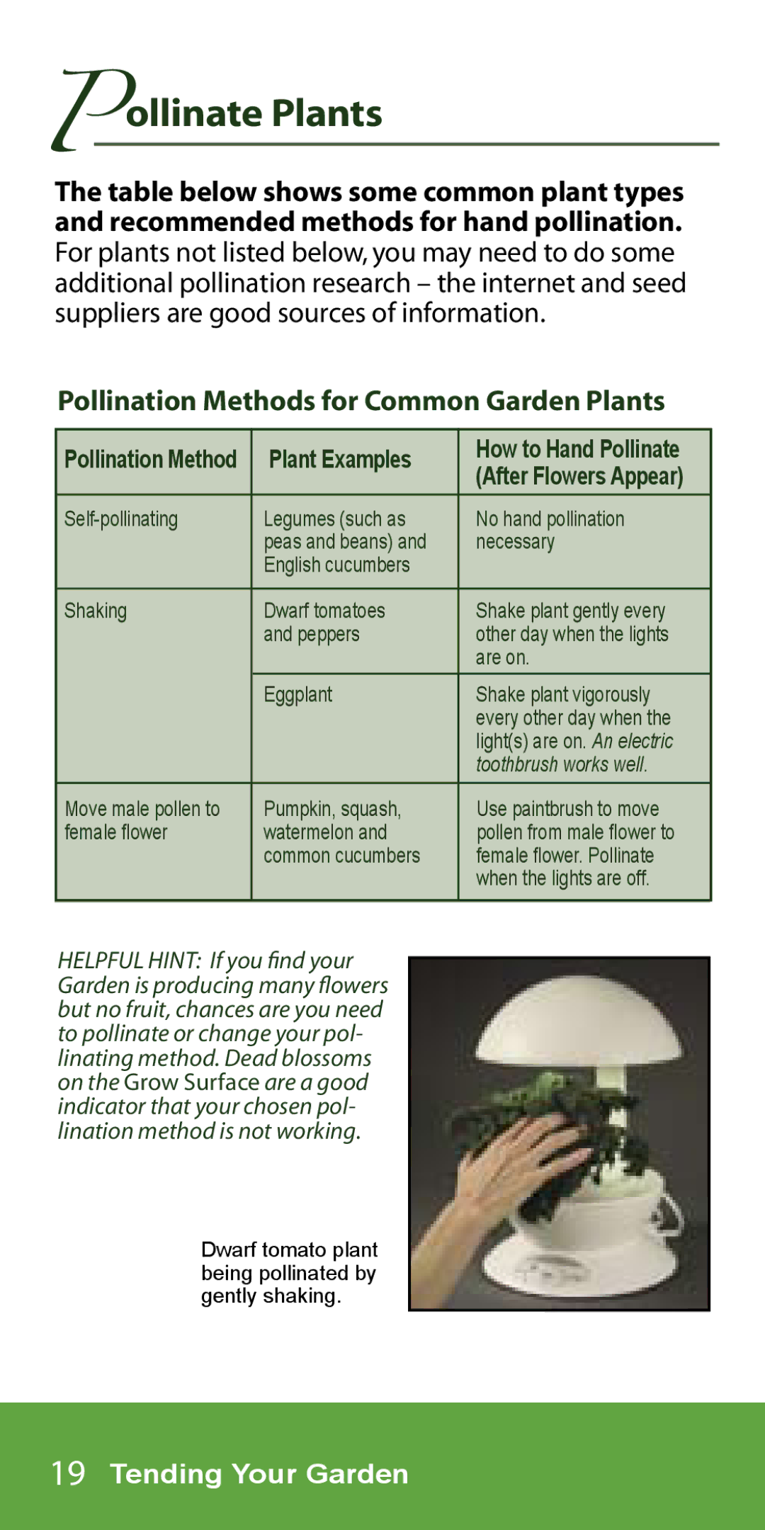 AeroGarden 7-Pod, 1-Season manual Pollinate Plants, Pollination Methods for Common Garden Plants 