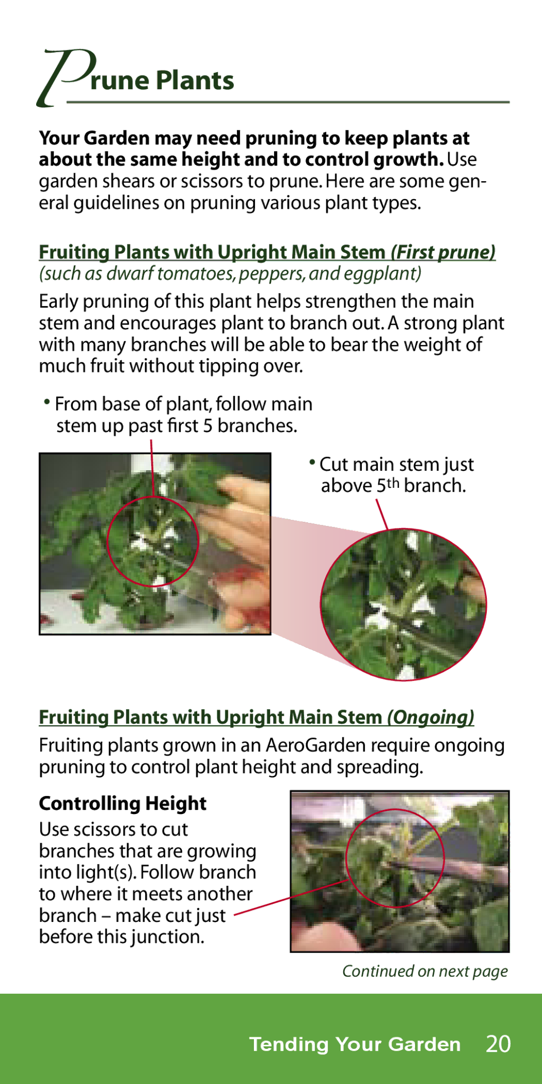 AeroGarden 1-Season, 7-Pod manual Prune Plants, Fruiting Plants with Upright Main Stem Ongoing, Controlling Height 