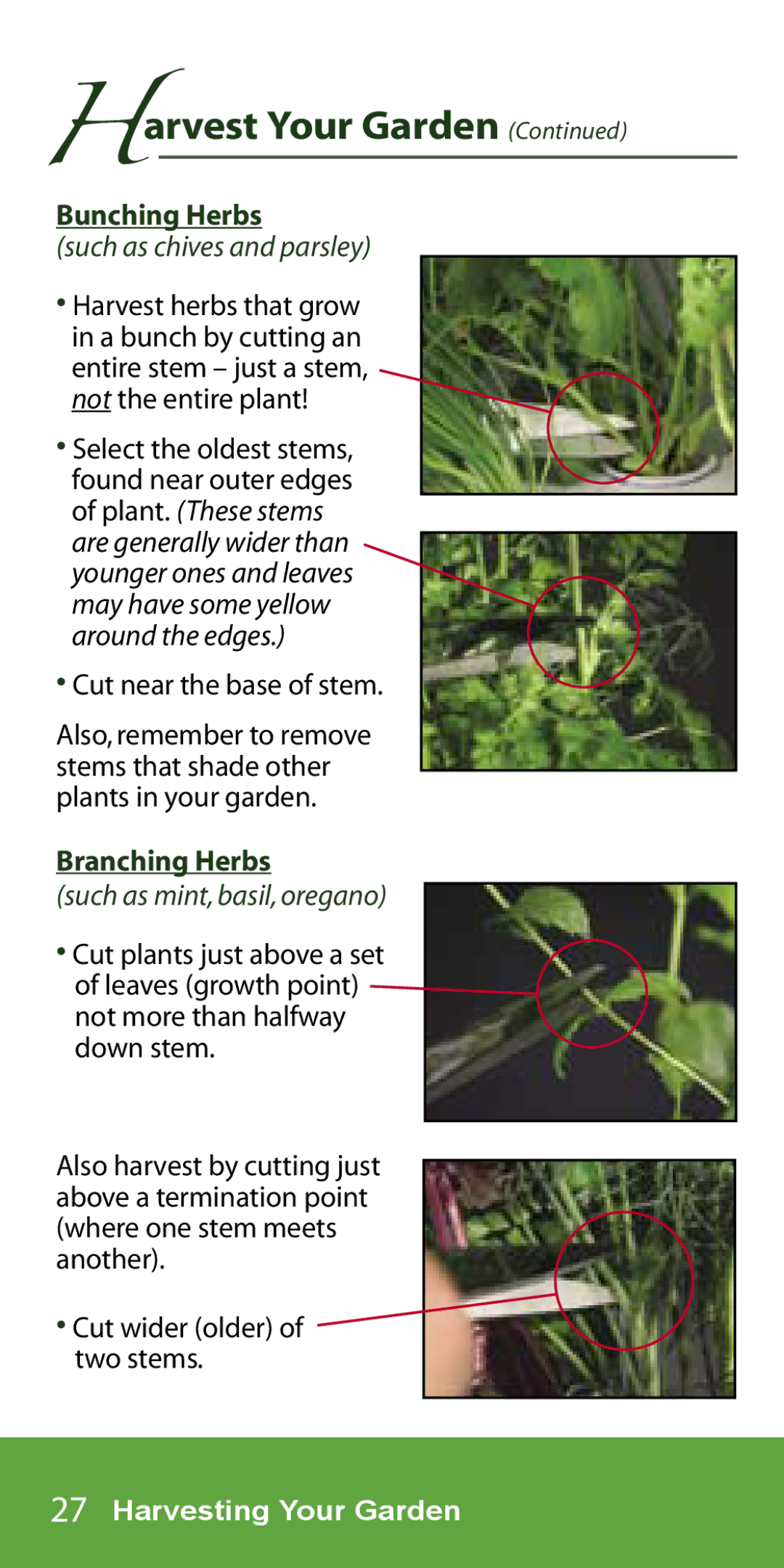 AeroGarden 7-Pod, 1-Season manual Harvest Your Garden, Bunching Herbs, Cut near the base of stem, Branching Herbs 