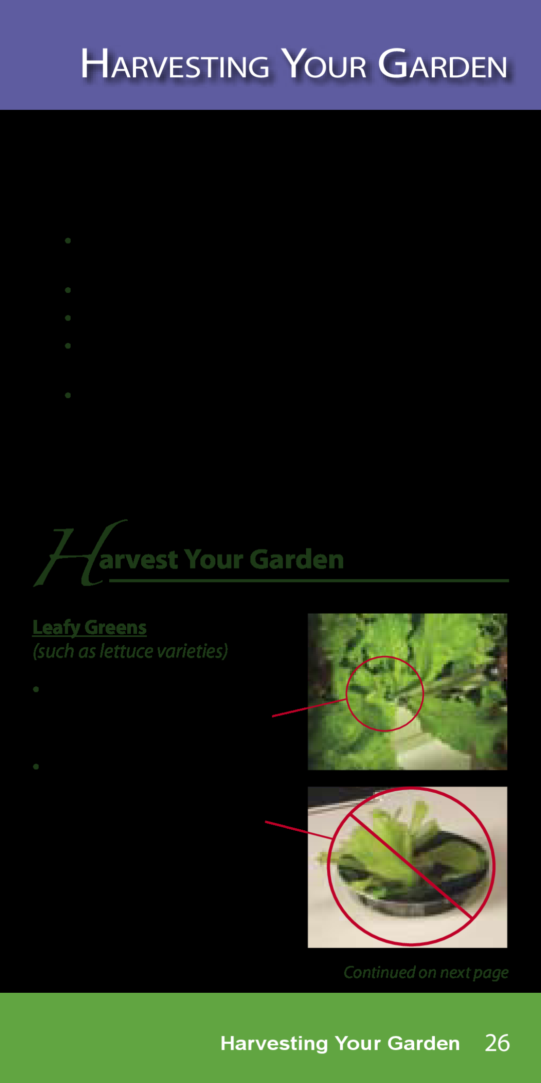 AeroGarden 1-Season Harvesting Your Garden, arvest Your Garden, After harvesting, lower lights, if necessary, Leafy Greens 