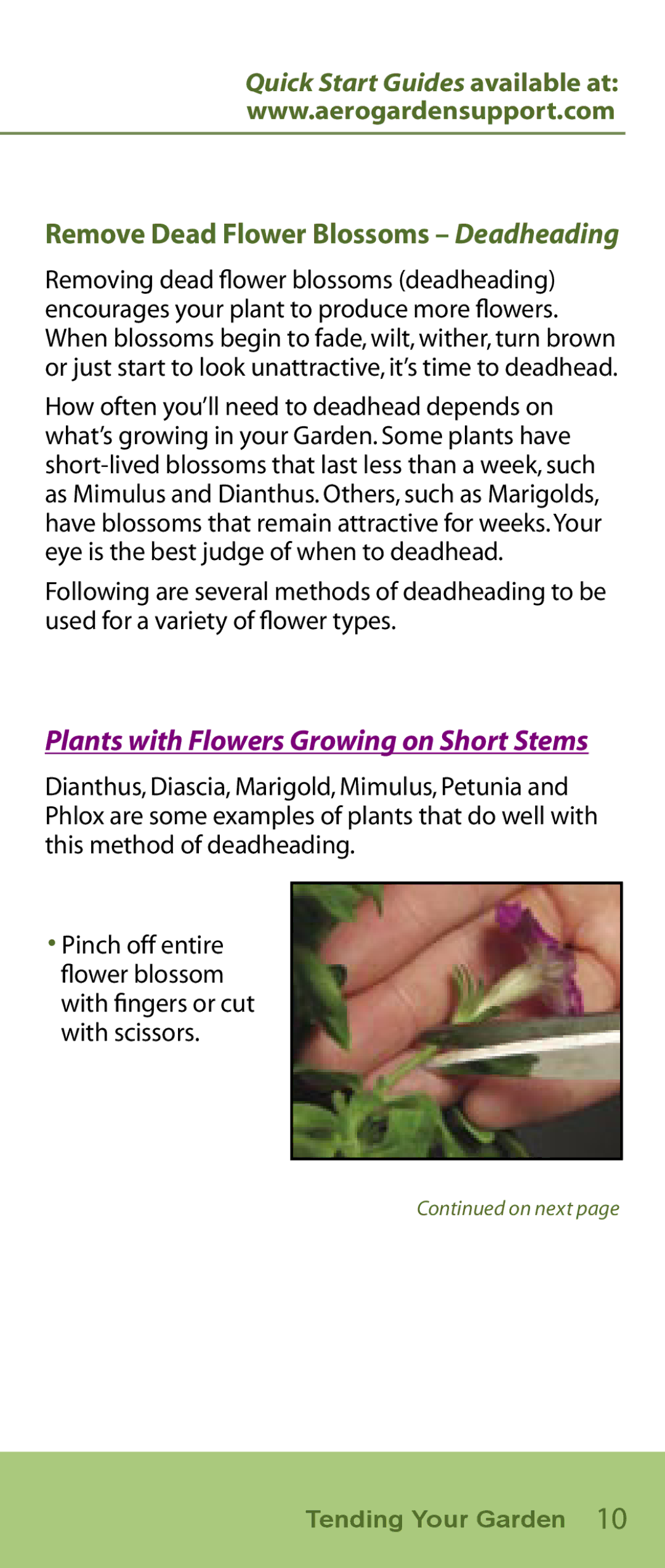 AeroGarden Flower Series manual Plants with Flowers Growing on Short Stems, Remove Dead Flower Blossoms Deadheading 