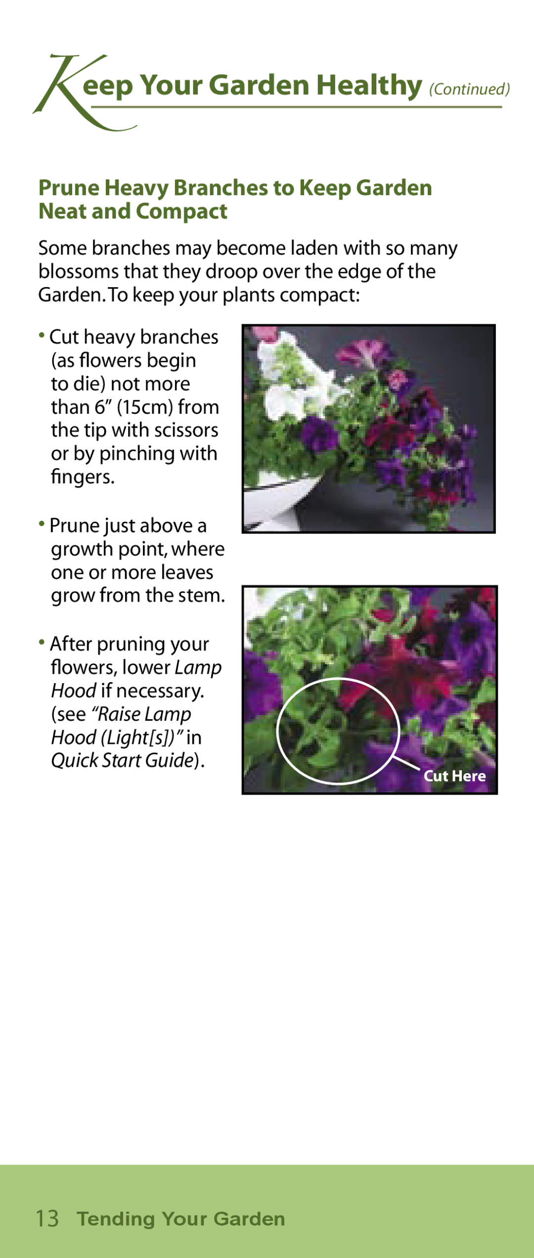 AeroGarden Flower Series manual Prune Heavy Branches to Keep Garden Neat and Compact 