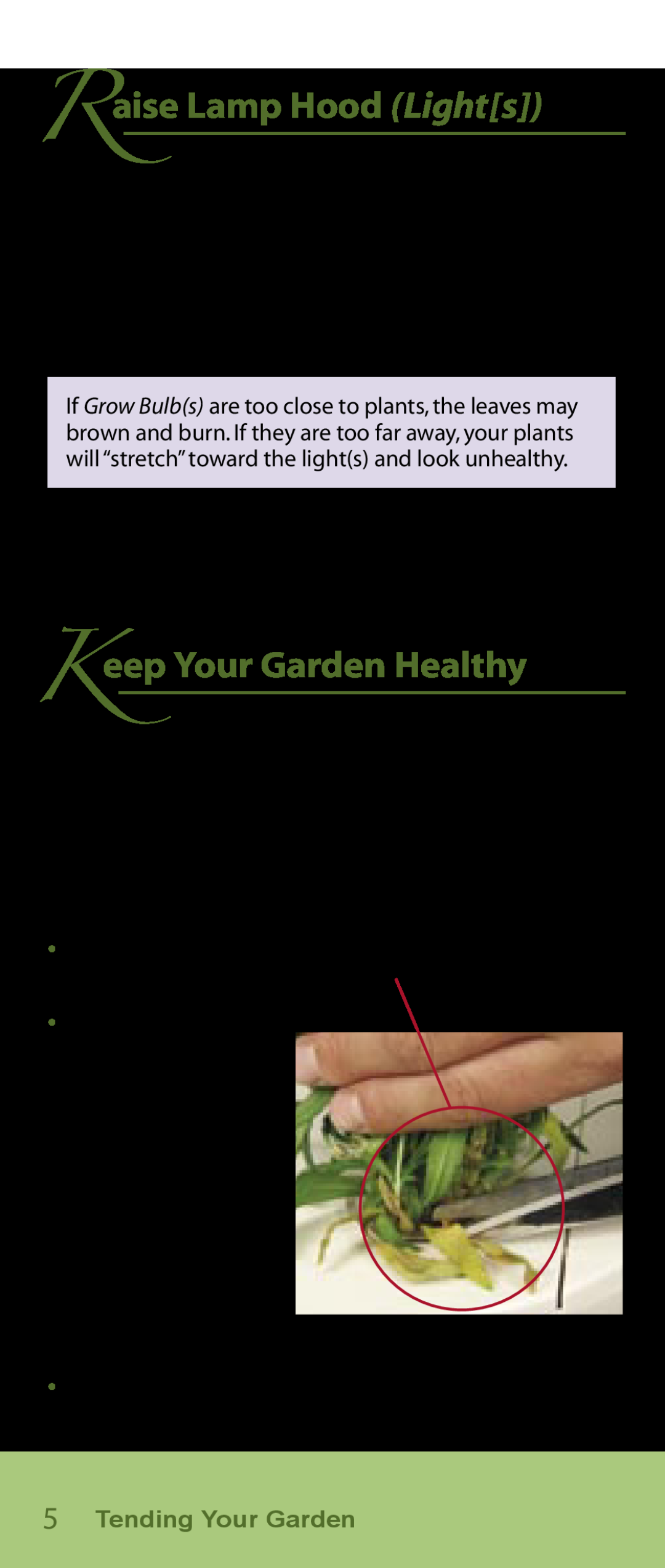 AeroGarden Flower Series manual Raise Lamp Hood Lights, Keep Your Garden Healthy, Keep Grow Surface clear of dead leaves 