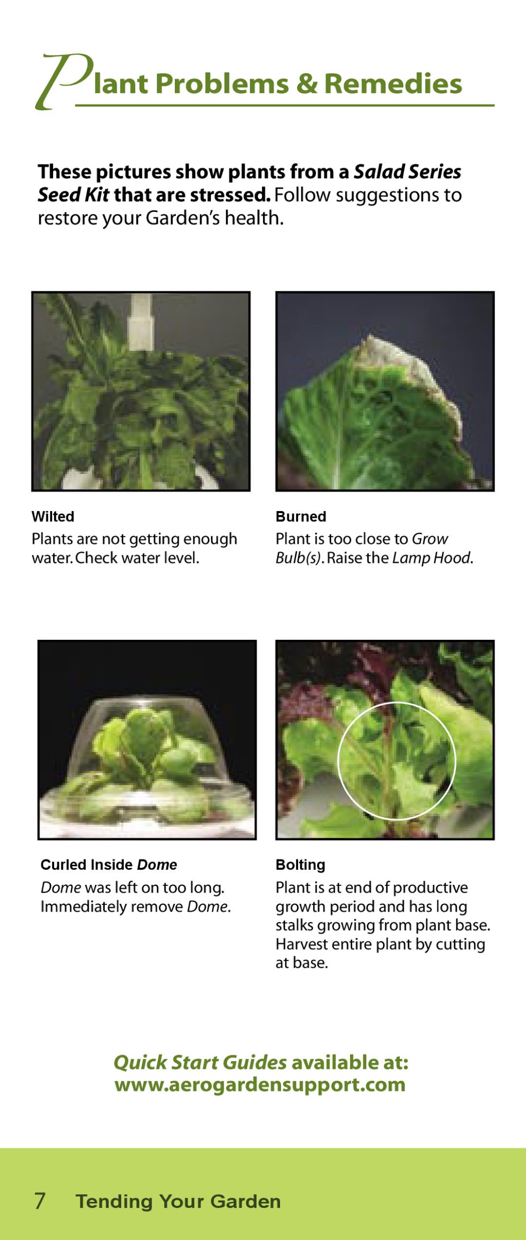 AeroGarden Salad Series manual Lant Problems & Remedies 