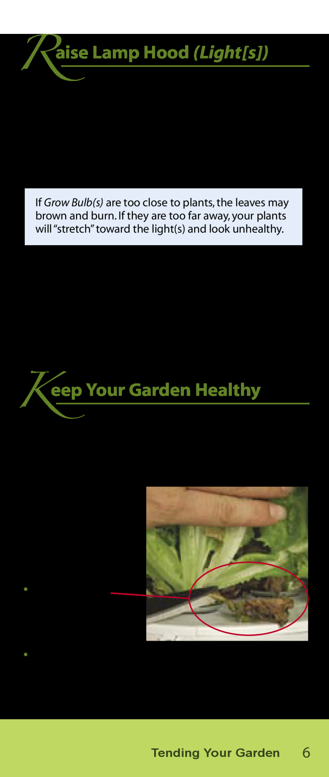 AeroGarden Salad Series manual Raise Lamp Hood Lights, Keep Your Garden Healthy 