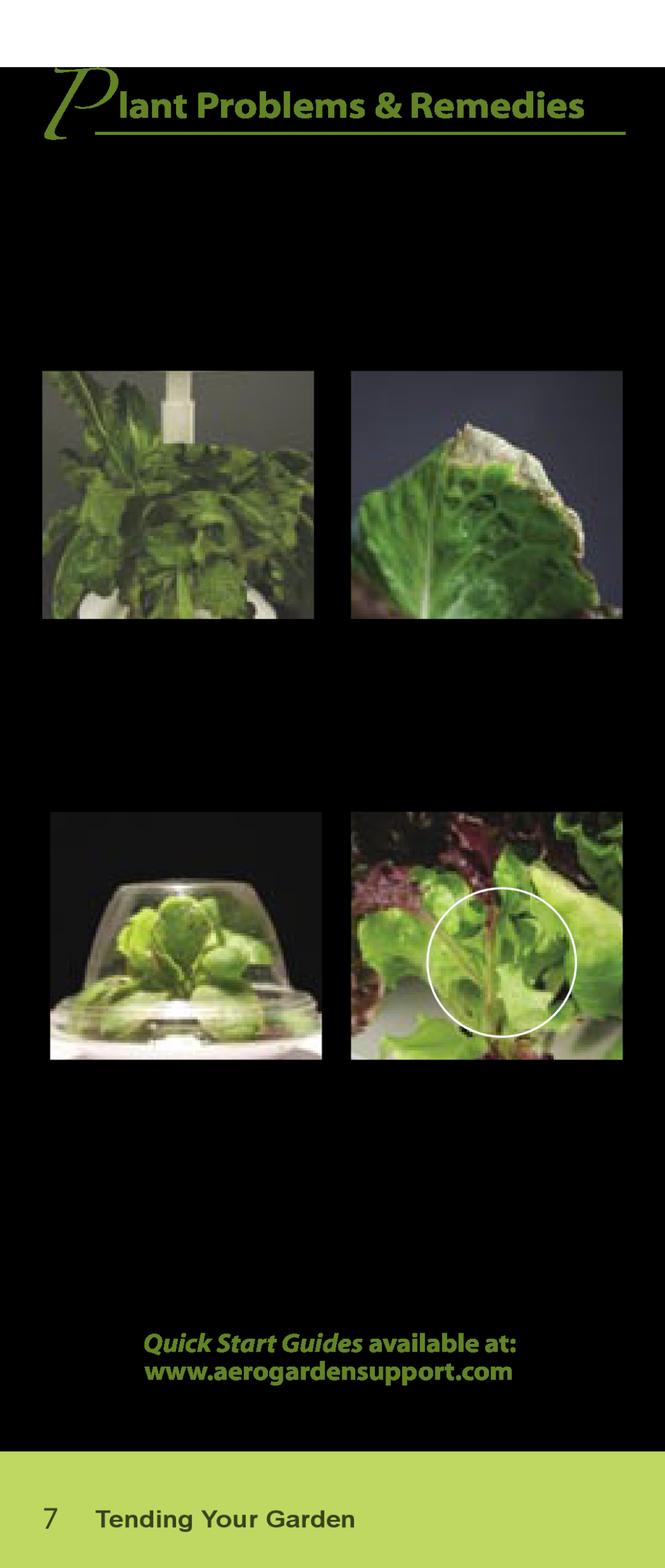 AeroGarden Salad Series manual P lant Problems & Remedies, Tending Your Garden, Wilted, Burned, Curled Inside Dome, Bolting 