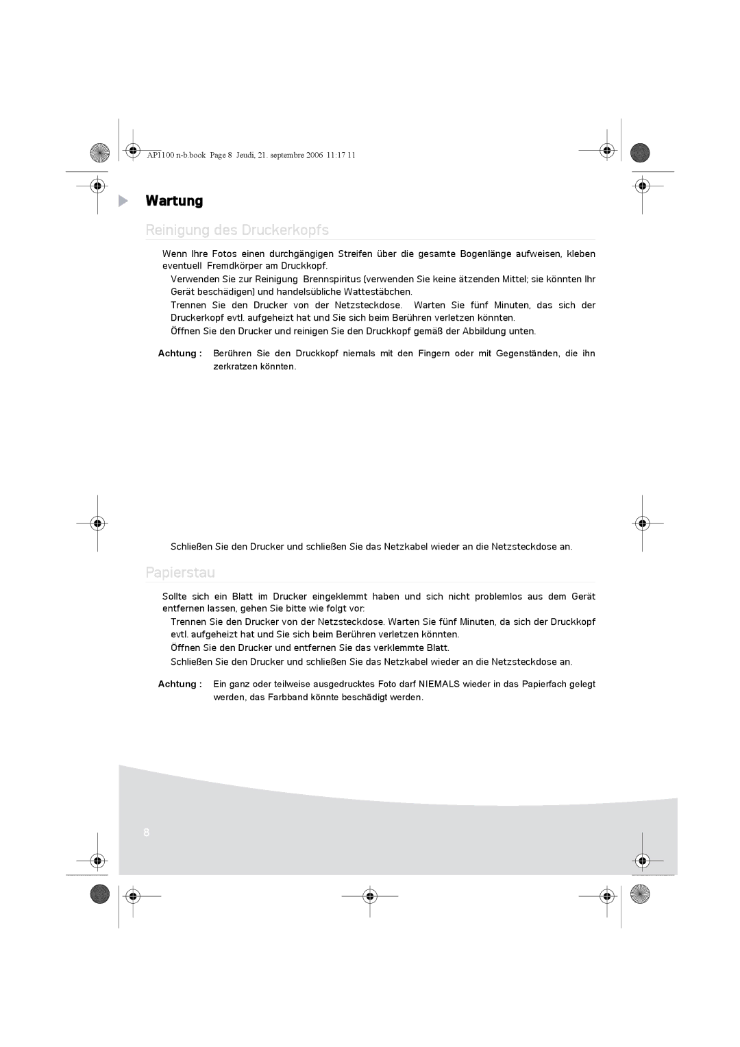 AGFA AP1100 manual Wartung, Reinigung des Druckerkopfs, Papierstau 