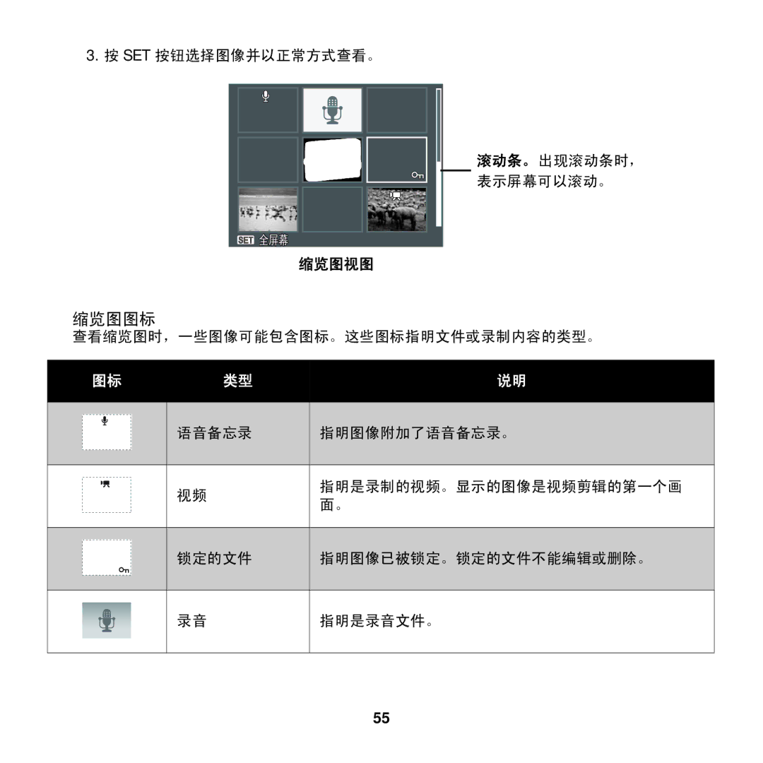 AGFA COMPACT 100 manual 缩览图图标 