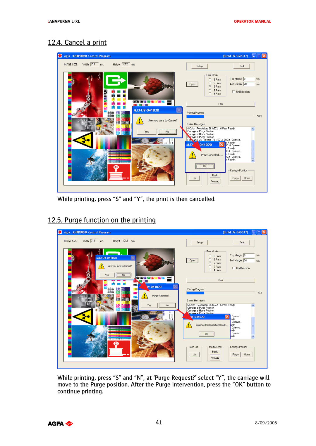 AGFA Printer Cancel a print, Purge function on the printing, While printing, press S and Y, the print is then cancelled 