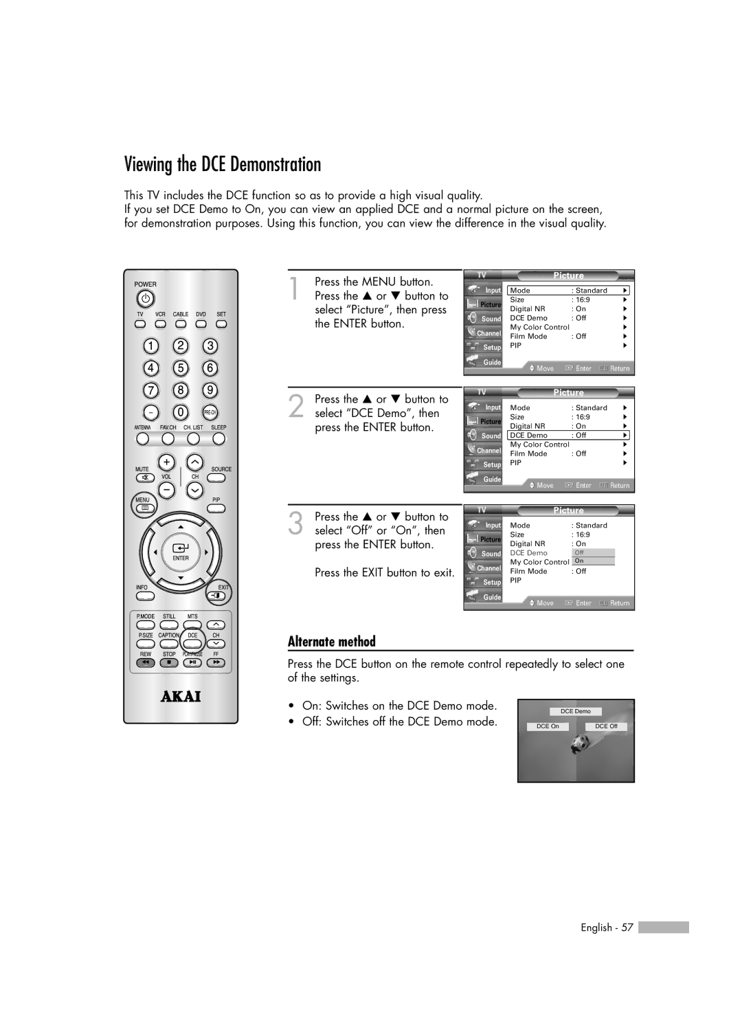 Akai PT50DL14 manual Viewing the DCE Demonstration 