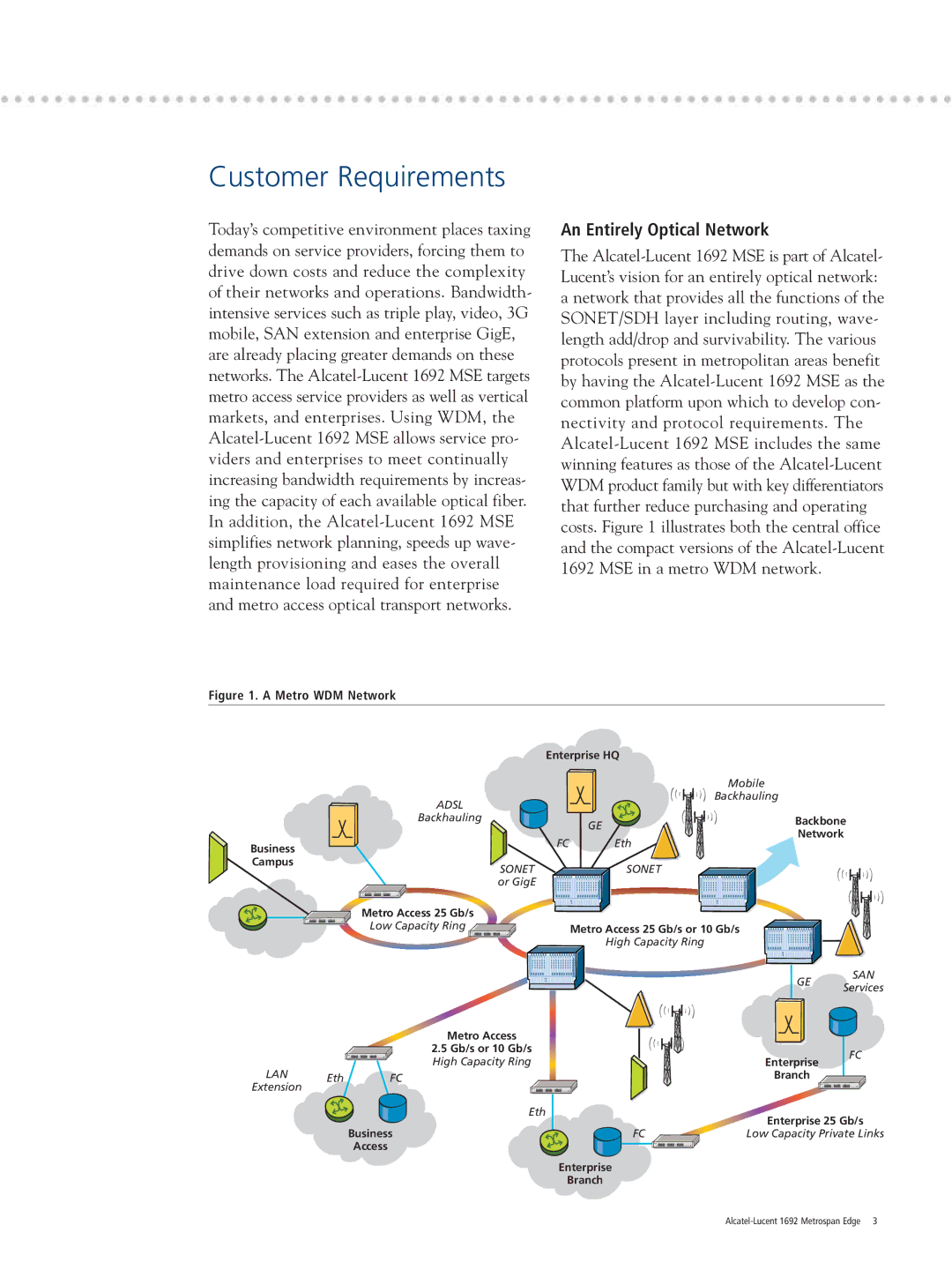 Alcatel Carrier Internetworking Solutions 1692 manual Customer Requirements, An Entirely Optical Network 