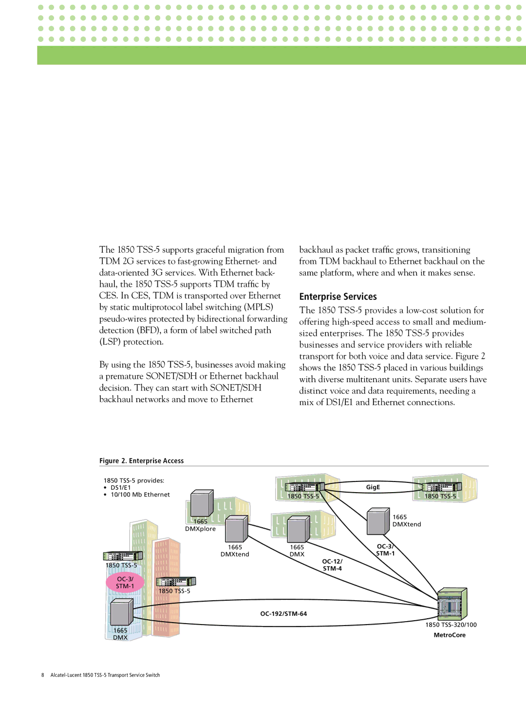 Alcatel Carrier Internetworking Solutions 1850 TSS-5 manual Enterprise Services, STM-4 