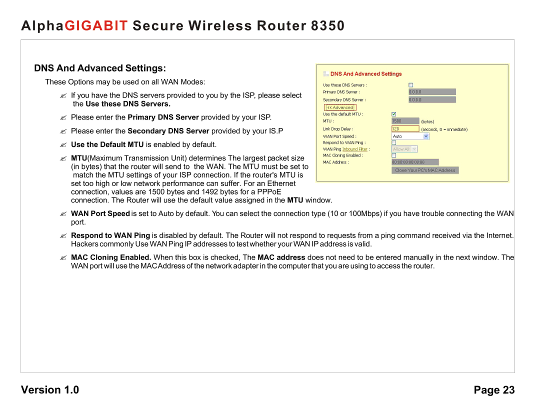 AlphaShield 8350 user manual DNS And Advanced Settings 