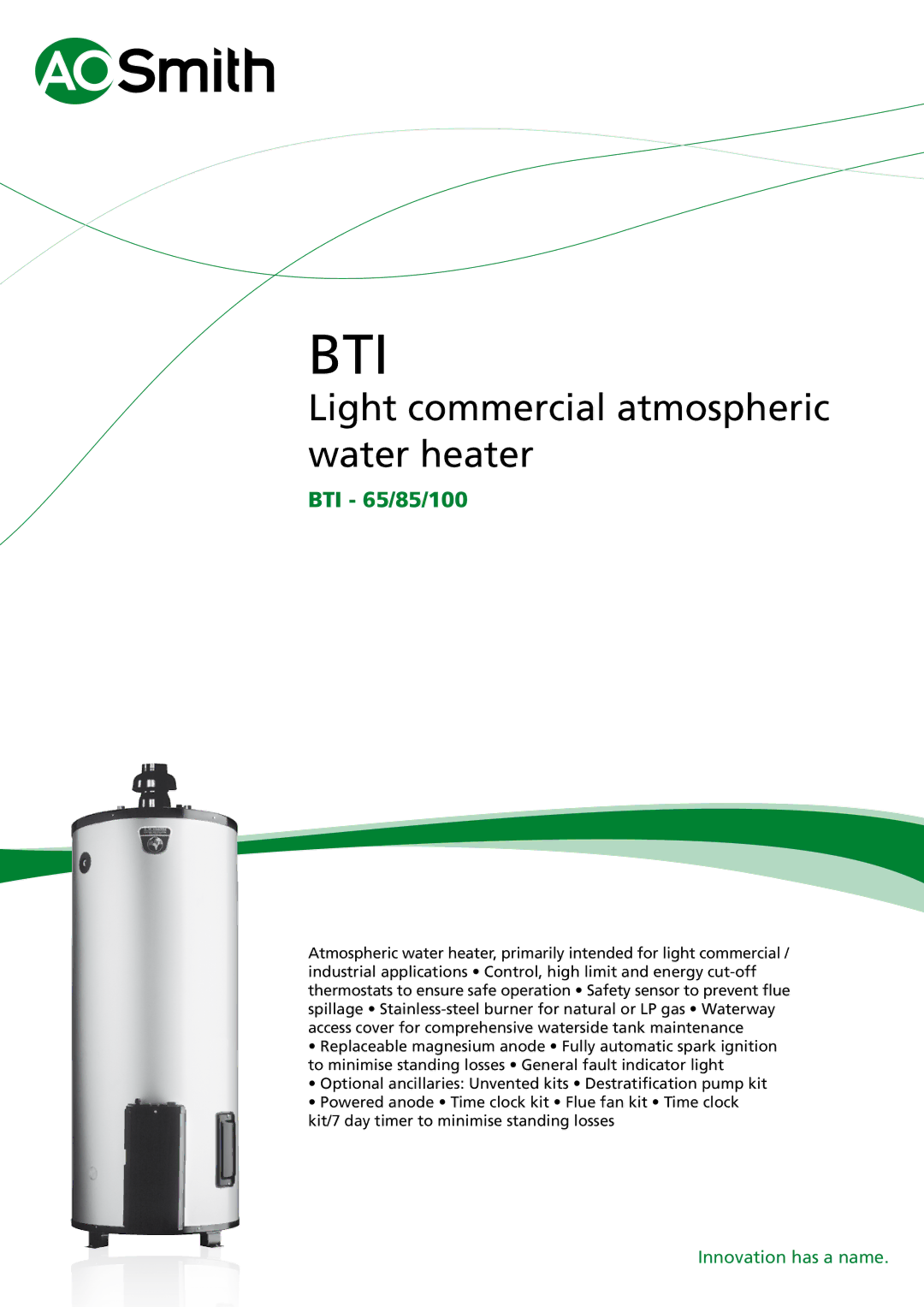 A.O. Smith BTI - 65, BTI - 85 manual Bti 