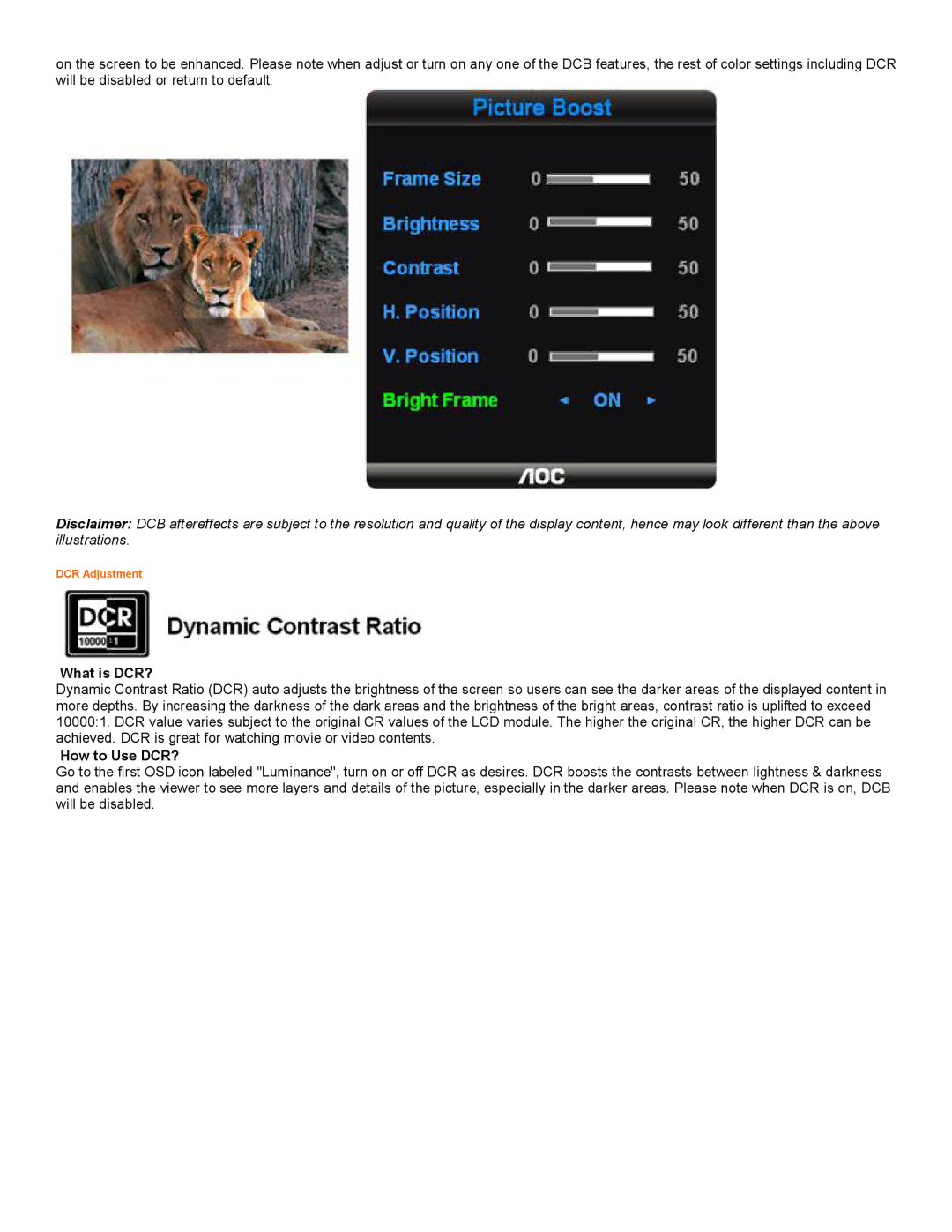 AOC 2218PH user manual DCR Adjustment 