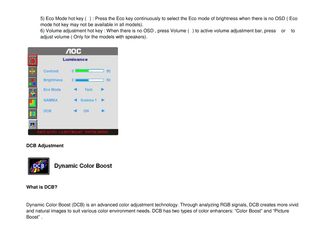 AOC 917VW user manual DCB Adjustment What is DCB? 