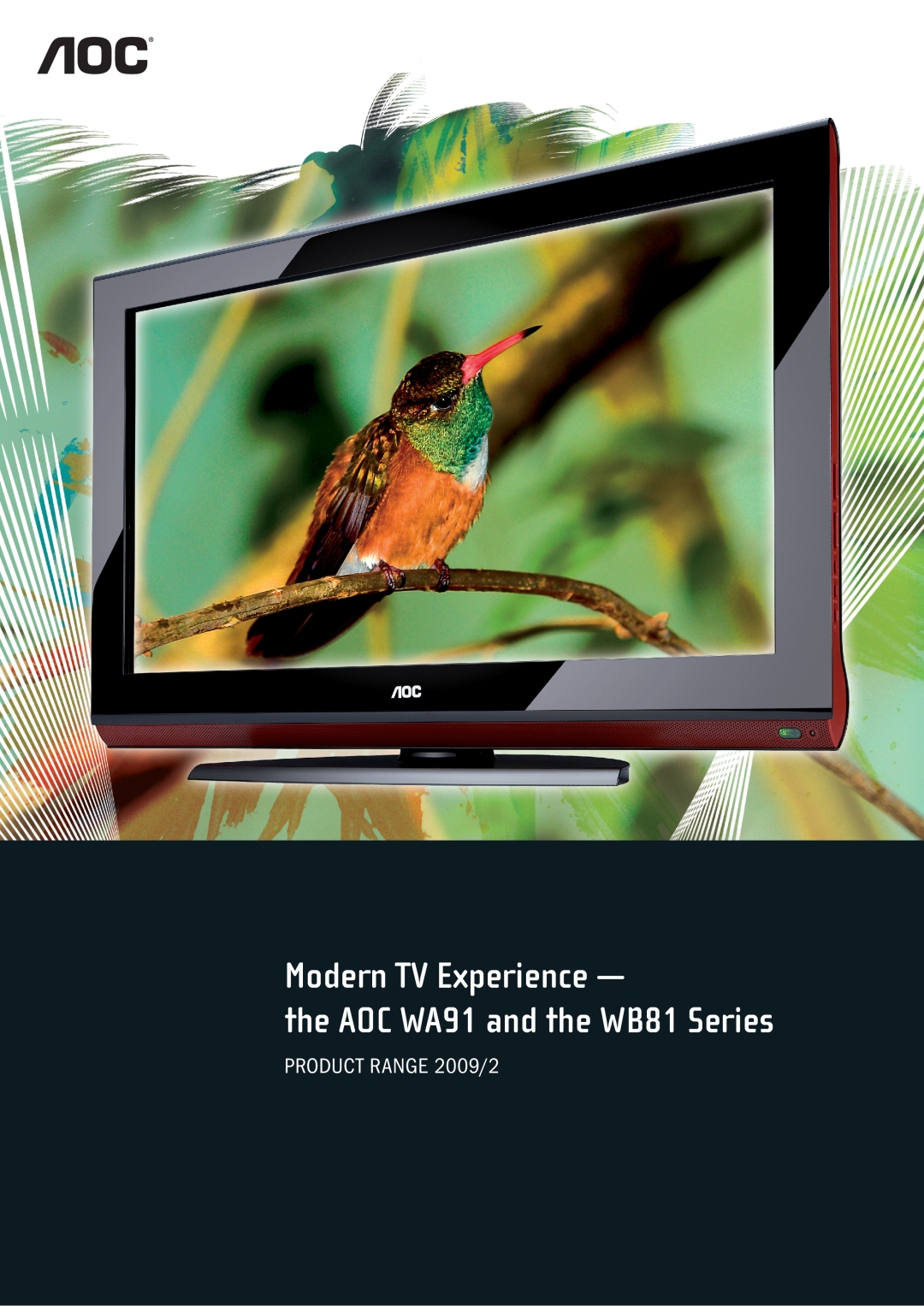 AOC manual Modern TV Experience, the AOC WA91 and the WB81 Series, PRODUCT RANGE 2009/2 
