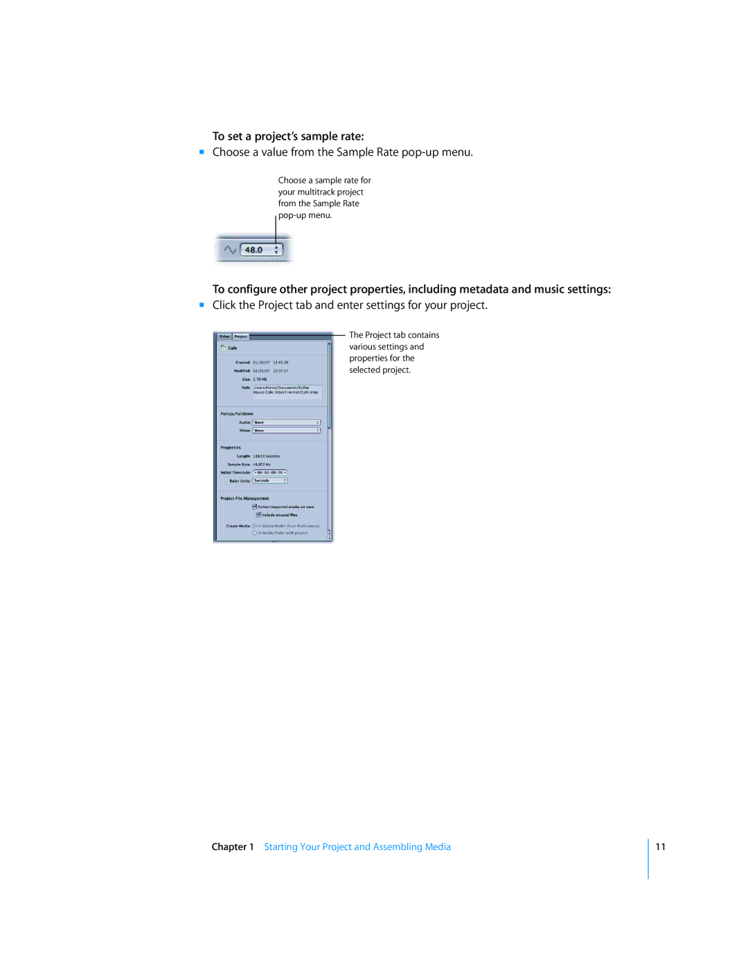 Apple 2 manual To set a project’s sample rate, Click the Project tab and enter settings for your project 