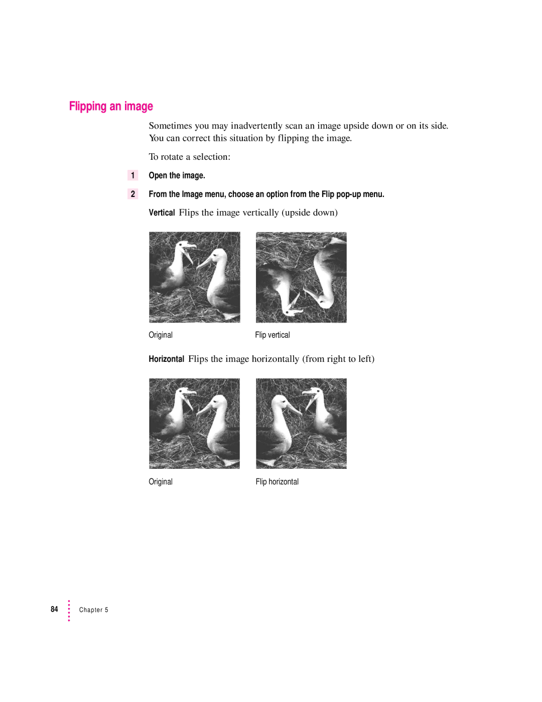 Apple 627, 1230 user manual Flipping an image, Horizontal Flips the image horizontally from right to left 