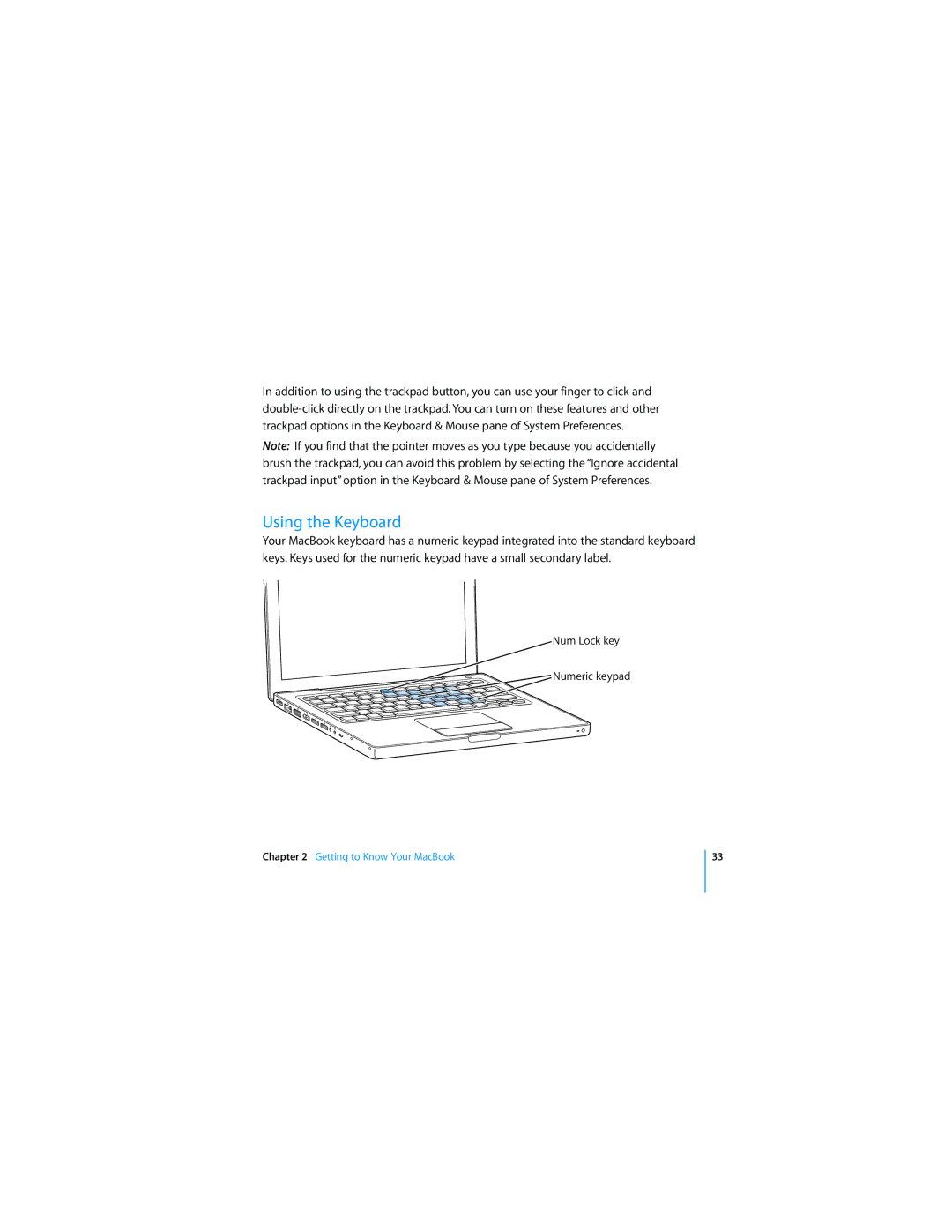 Apple APLLE MACBOOK manual Using the Keyboard 