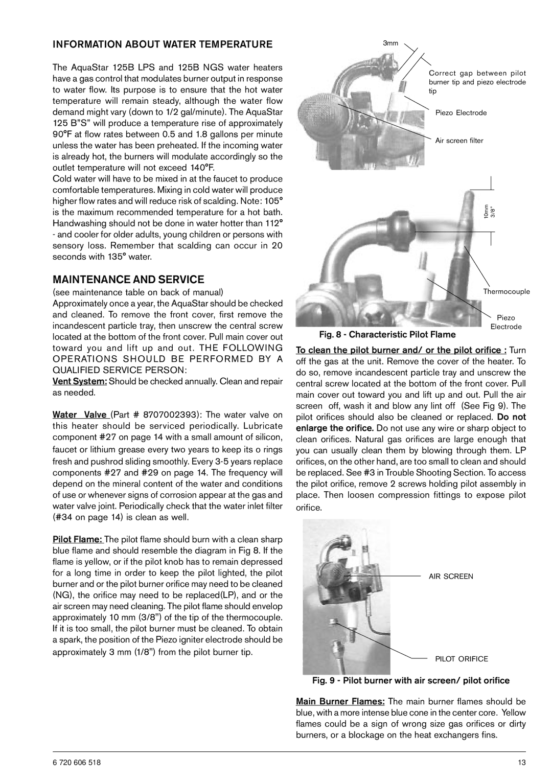 AquaStar 125B NGS specifications Maintenance and Service, Pilot burner with air screen/ pilot orifice 