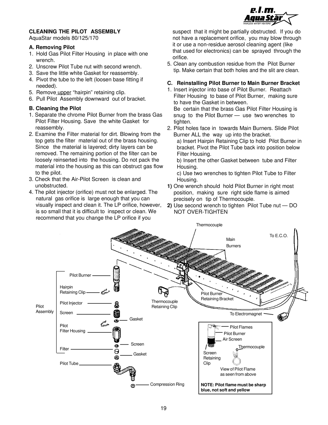 AquaStar 170 VP manual Cleaning the Pilot Assembly 