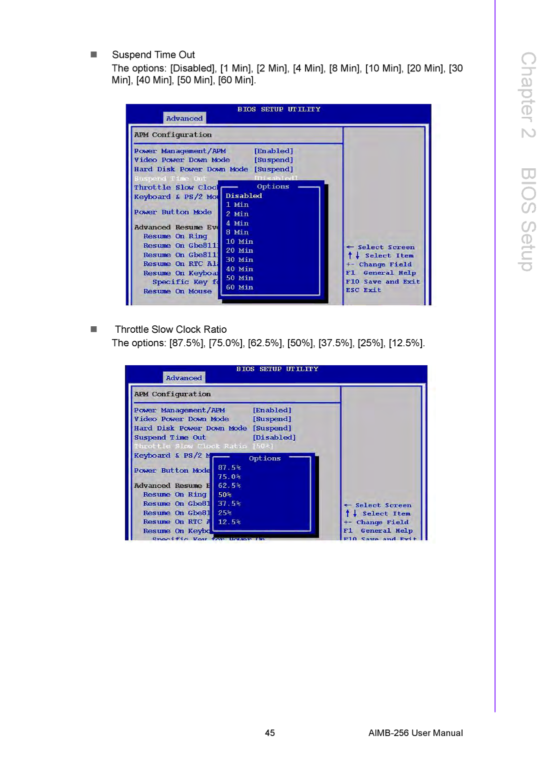 Arkon AIMB-256 user manual Bios Setup 