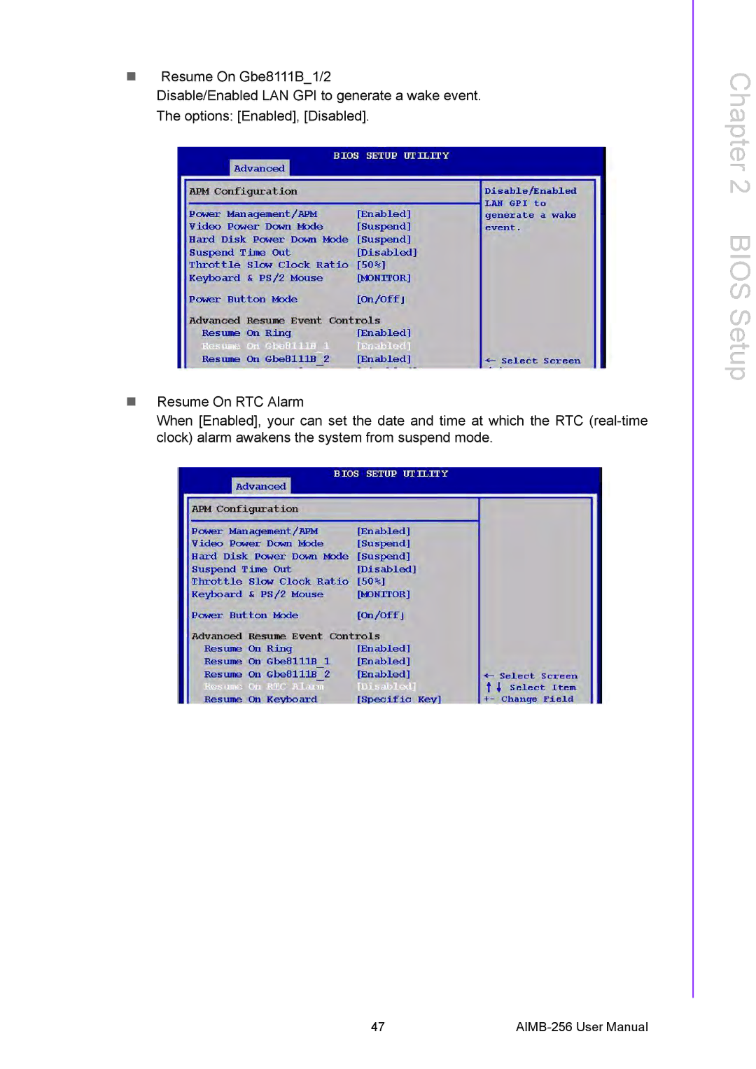 Arkon AIMB-256 user manual Bios Setup 