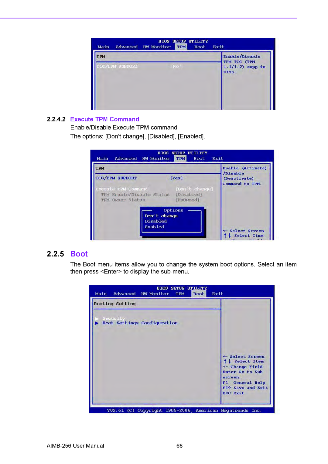 Arkon AIMB-256 user manual Boot, Execute TPM Command Enable/Disable Execute TPM command 