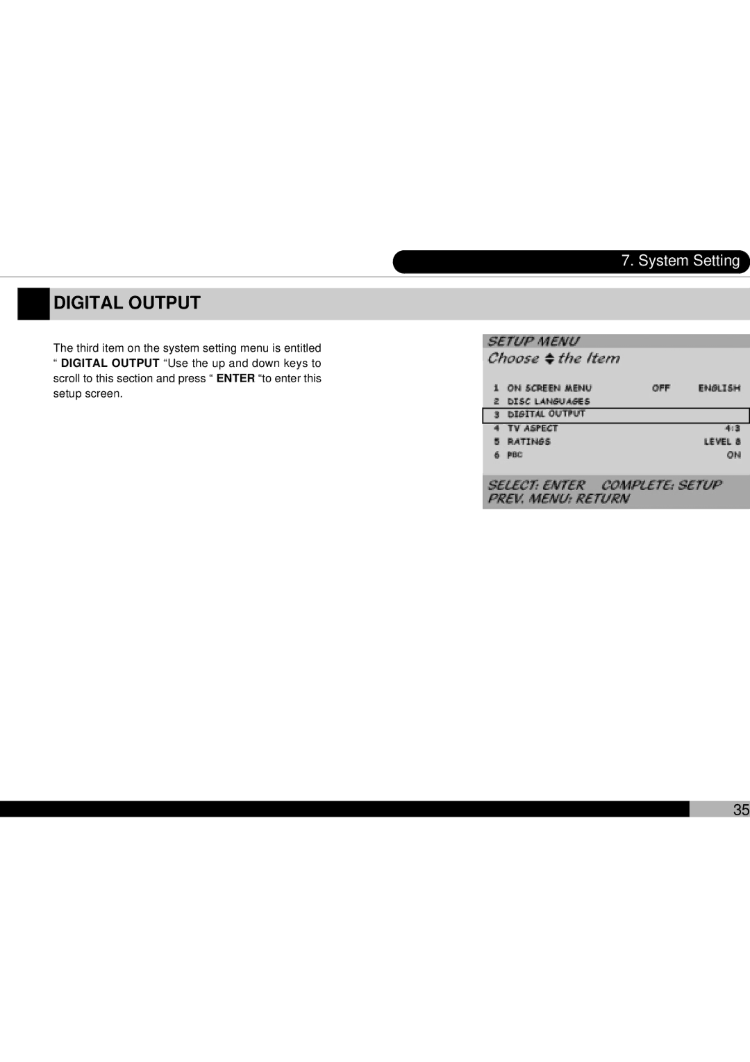 Audiovox D1700 owner manual Digital Output 