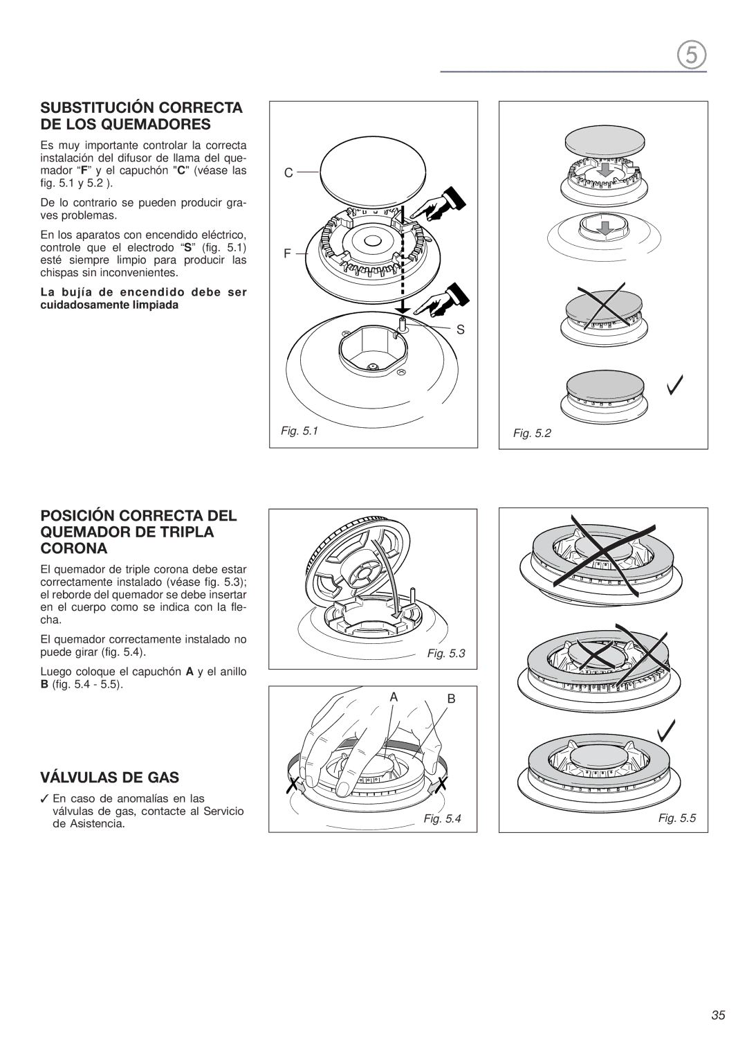 Avanti DG 2401 C Substitución Correcta DE LOS Quemadores, Posición Correcta DEL Quemador DE Tripla Corona, Válvulas DE GAS 