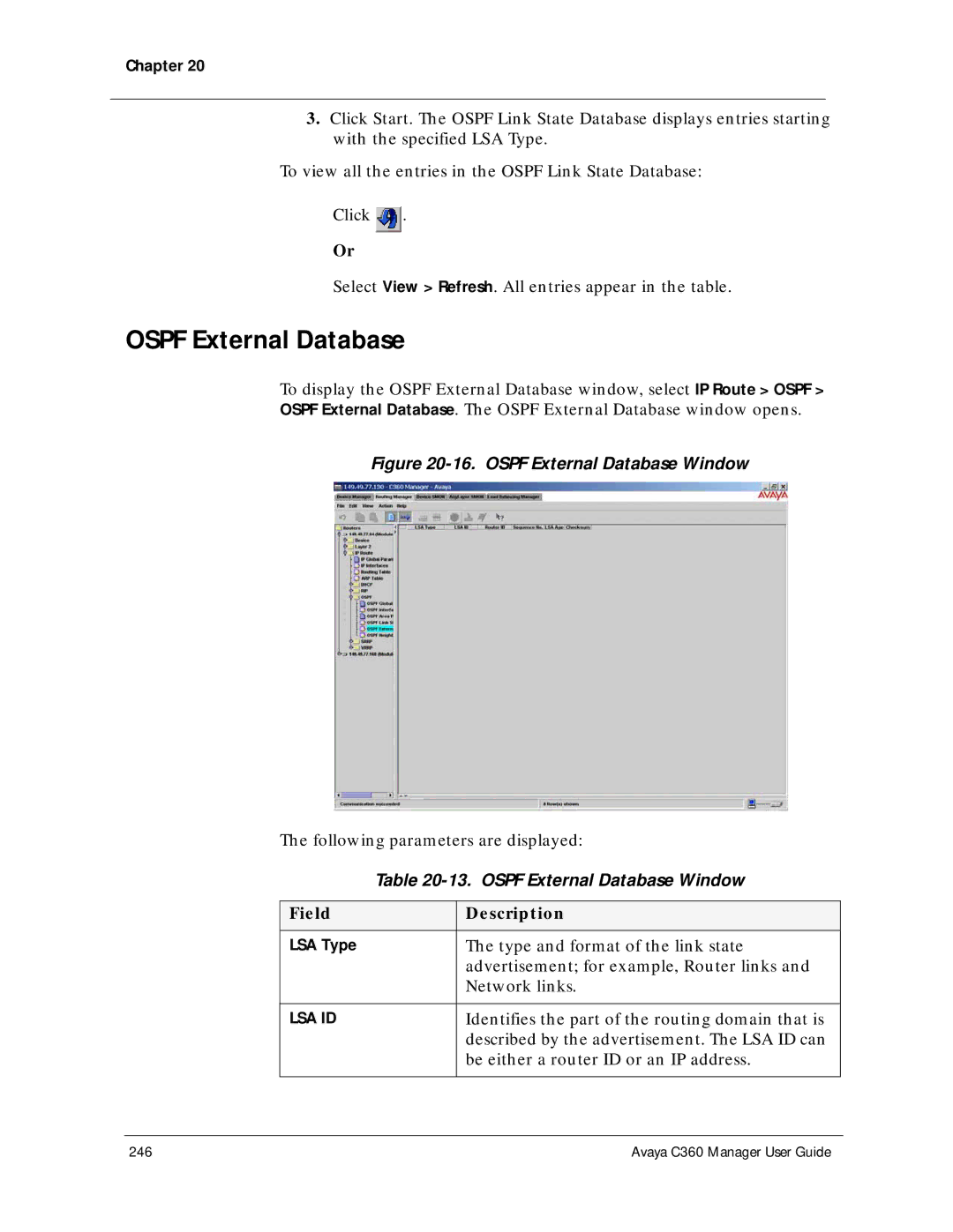 Avaya C360 manual Ospf External Database Window 